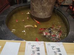 -古莲·影院足道·按摩SPA(水上温泉店)