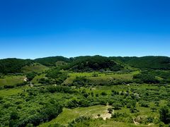 -御道口草原森林风景区