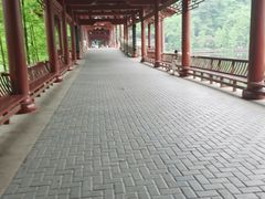 -重庆彩云湖湿地公园