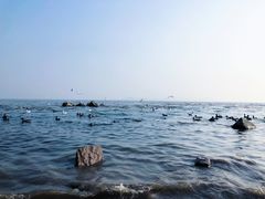 -深圳湾公园(南山区)