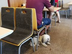 -芦庄超王记(南泉店)