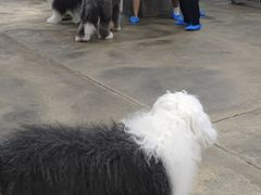 -TrueLove @ Neverland (Husky Cafe)