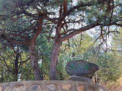 -北京鹫峰国家森林公园