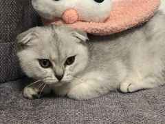 -4inlook美目美佳隐形眼镜店(大悦城店)