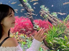 -海合安成都极地海洋公园
