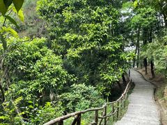 -火炉山森林公园