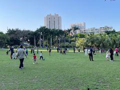 -东风公园