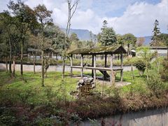 -中国大熊猫保护研究中心雅安碧峰峡基地