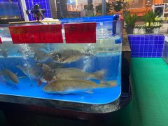 -明本海鲜大排档·鱼生海鲜烧烤宵夜(陈家祠店)