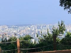 -汉拿树木园