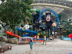 -杭州开元森泊度假乐园