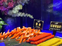 -九月海·海鲜自助(世纪东方店)