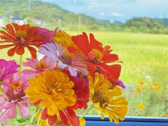 -长沙黑麋峰国家森林公园