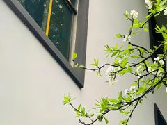 -泰州站