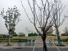 -西溪国家湿地公园