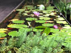 -箱美术馆私房菜(水晶郦城店)
