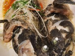 -王庄阿咪海鲜大排档(象园店)