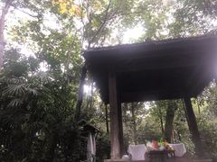 -青城道汤池