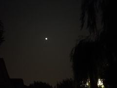 -伊隆斋(什刹海店)