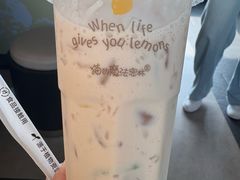 -猫的魔法密林(衣裳街店)