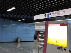 -大龙山(地铁站)