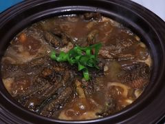 -丁老爷子苏香圆