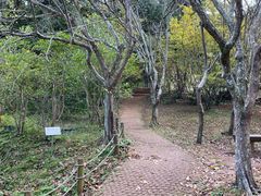 -汉拿树木园