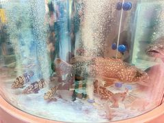 -海底捞大排档火锅(打浦路店)