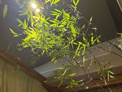 -本处·素食·融合料理(南油店)