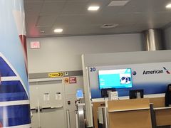 -约翰·菲茨杰拉德·肯尼迪国际机场