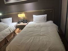 -济南绿地美利亚酒店