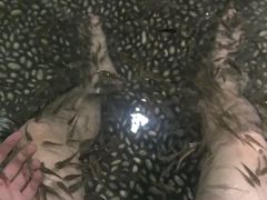 -厦门日月谷温泉渡假村