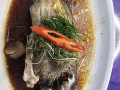 清蒸蒸多宝鱼-广胜通达海鲜食府(黄沙店)