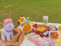 -枫香湖儿童公园