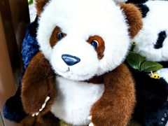 -轩客会(熊猫书店)