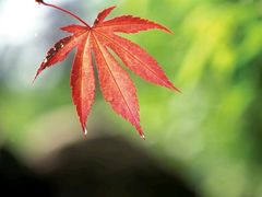 -碧水豪园·足浴·SPA·汗蒸·那须汤泉(中山东路店)