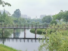 -眉山湿地公园(东坡区)