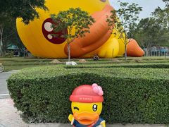 -东南花都花博园