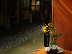 -苏州本色美术馆