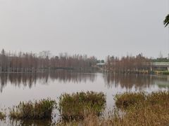 -白鹭湾湿地公园
