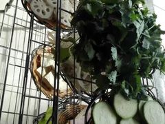 -七采菌园·石锅鱼野生菌火锅(环城北路店)