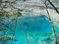 -九寨沟-树正沟