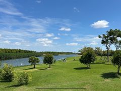 -春花秋色城市公园