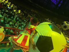 -俄罗斯国家大马戏团