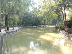 -西安市长乐公园