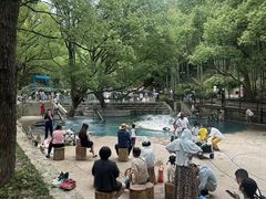 -东明山森林公园
