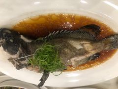 -金河半岛园林酒家(金融城店)