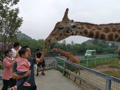 -贵州森林野生动物园