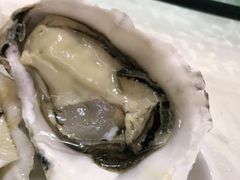 -黄沙水产交易市场