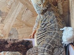 -Rabbit Cafe私房西餐甜点咖啡(栖霞路店)